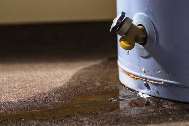 Best Commercial water damage restoration  in West Hammond, NM
