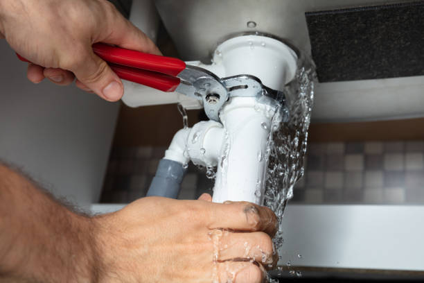 Best Basement water damage restoration  in West Hammond, NM