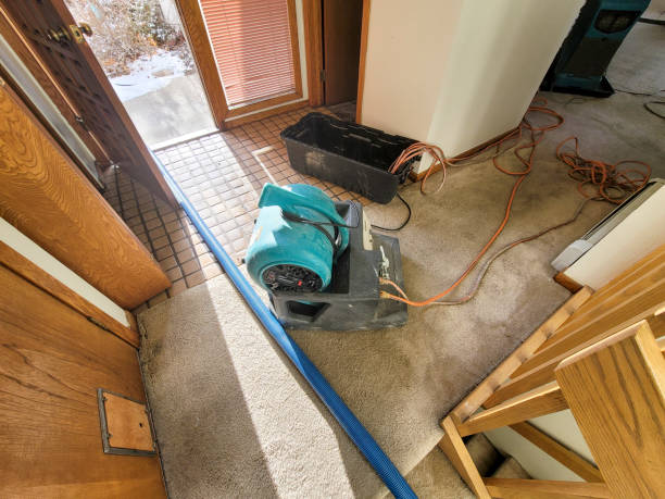 Best Flooded house restoration  in West Hammond, NM