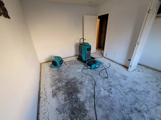 Best Water damage restoration near me  in West Hammond, NM