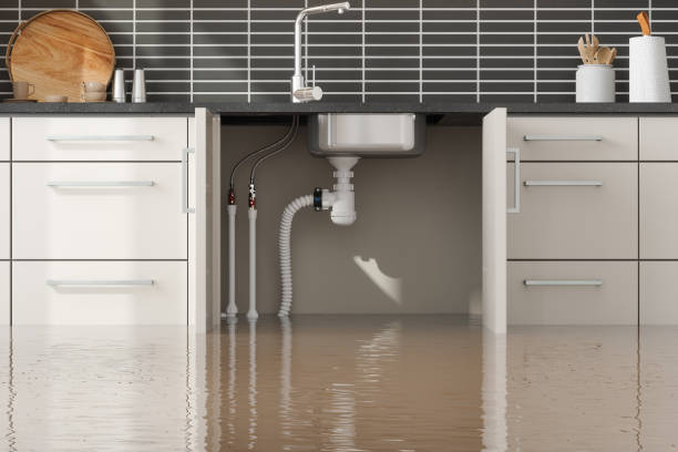 Best Emergency water damage restoration  in West Hammond, NM