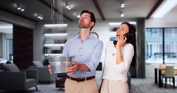 Best Water damage contractors near me  in West Hammond, NM