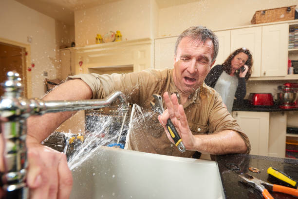 Best Carpet water damage restoration  in West Hammond, NM